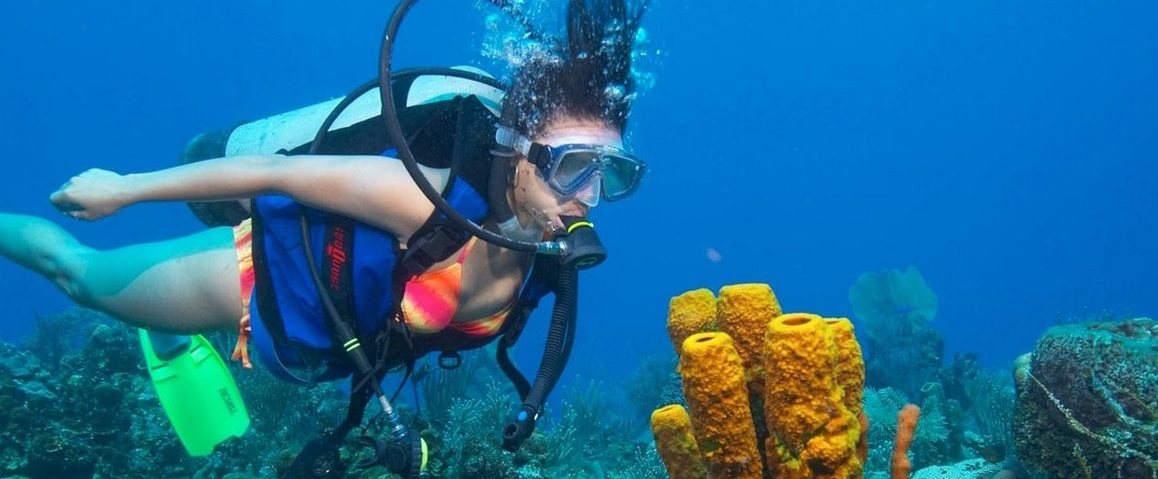 scuba diving in goa